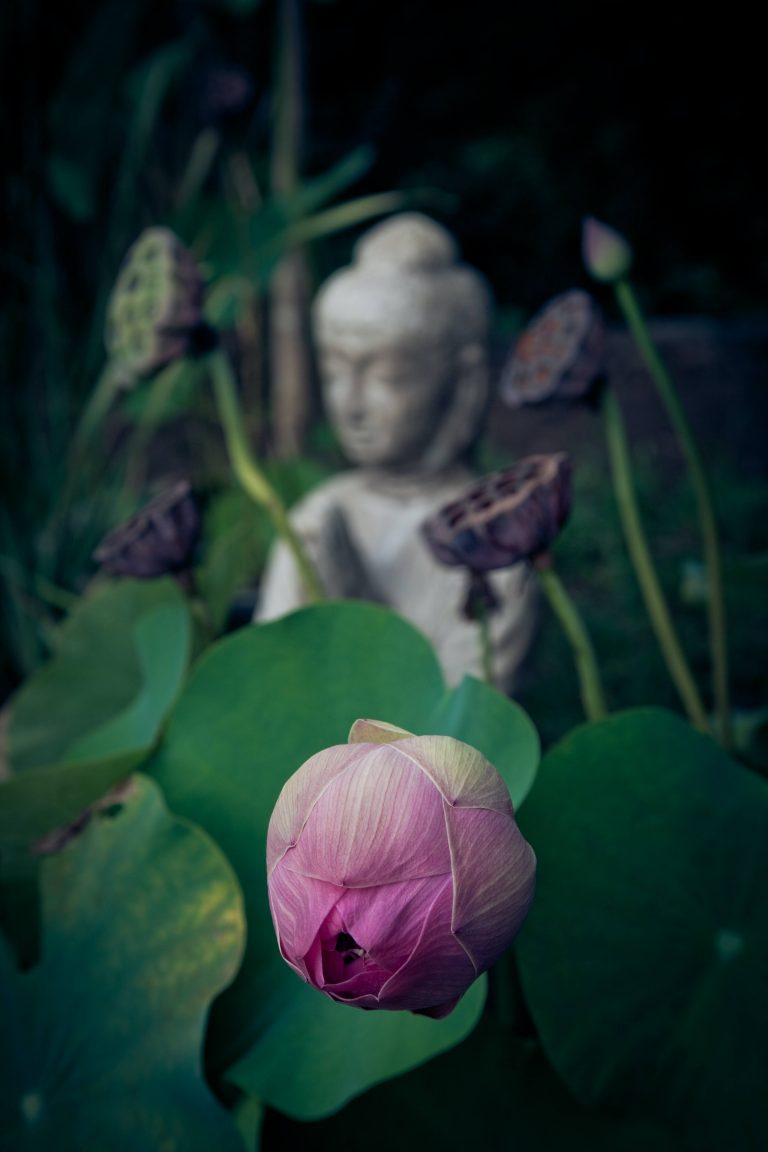 La philosophie du yoga